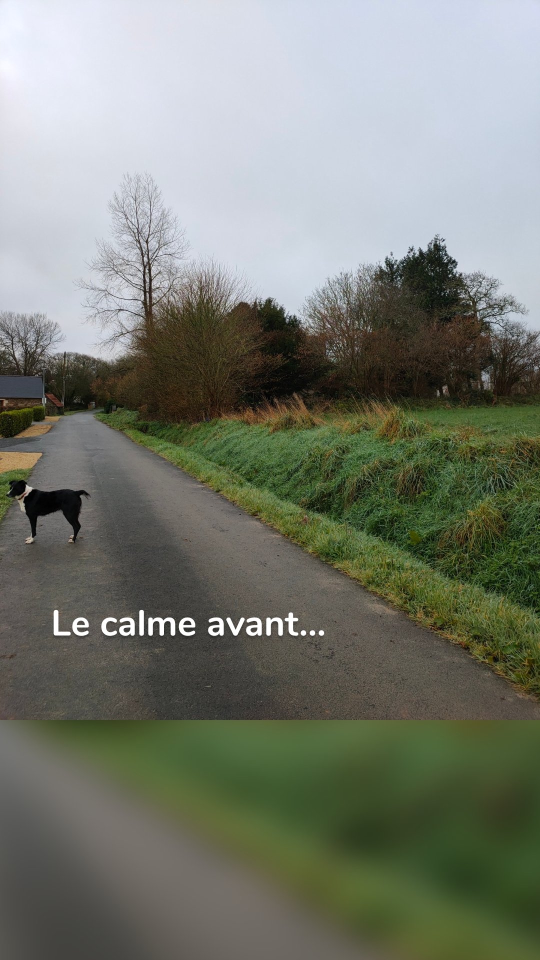 Le calme avant... 